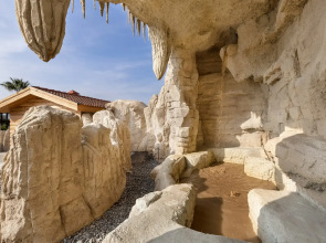 Royal Teos Thermal Resort Clinic & Spa (Halal Hotel)