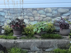 Гостевой Дом Синди