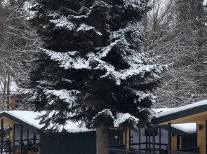 База отдыха Зима Лето