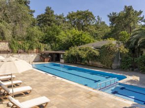 Бутик-отель Padok Premium Hotel & Stables