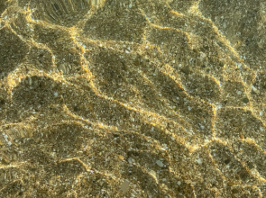 Гостевой дом Парус