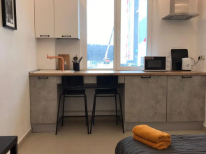 Апартаменты Комфортная студия