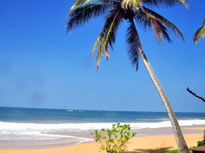 Санаторий Ocean of Life Ayurvedic