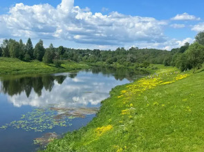 Частный дом Веселые гуси 5