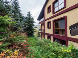 Вилла в Красной Поляне до 12 гостей