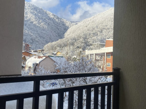 Апартаменты Горная сказка на Эстонской