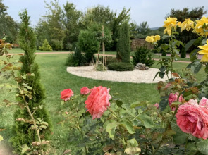 Апартаменты ЖК Green Park 6