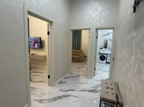 Квартира Двухкомнатный Люкс в Парке