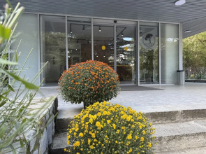 Санаторий Лес