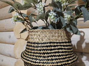 Частный дом Лякабанья