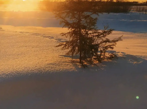 Гостевой дом Советов на Вазузе