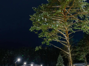 База Отдыха GlintWood