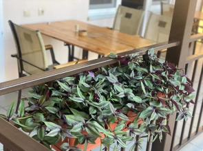 Жилые помещения Золотой песок