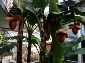 Гостевой Дом Иван да Марья