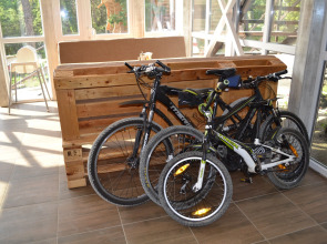 Гостевой дом Лодж Алтай