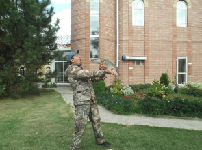 База отдыха Замок