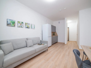 Апартаменты Сурикова 63