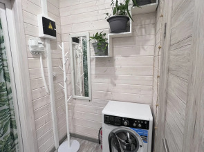 Частный дом Три березы