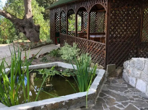 Мини Отель Кедр