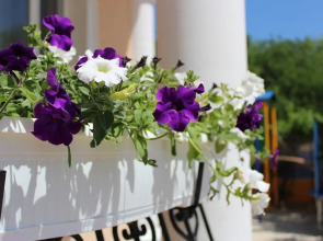 Отель Экватор