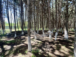 Курортный отель Milenium