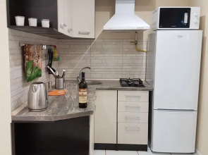 Апартаменты Голицына 19 1