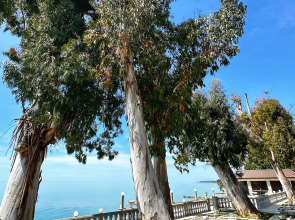 База отдыха Набережная Виктория