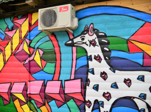 База отдыха Younge Art Camp