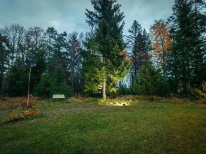 Гостевой дом Green Forest у Игоры