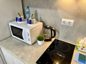 Апартаменты в центре Москвы