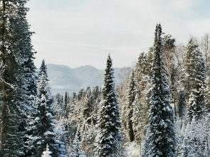 База отдыха ТК Куатанг