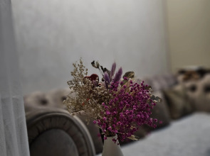 Апартаменты Park House Alieva Luxury