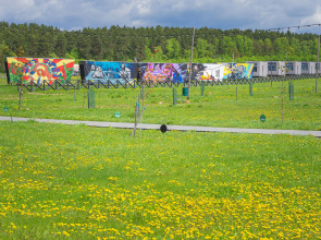 Отель Арт-кэмп Дикая Мята