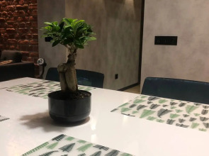 Апартаменты Охта Парк Ohta Loft Apartments с террасой