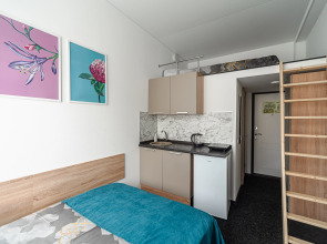 Апартаменты Нижний Ораниенбаум (308)