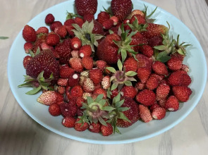 Вилла Усадьба Лесной Рай