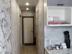 Квартира Однокомнатная Семенова 16