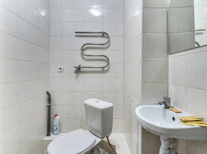 Апартаменты Однушка с мятным намеком