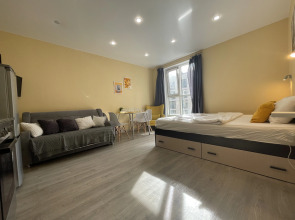 Апартаменты Ligov 1