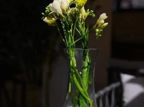 Aristo Boutique Hotel