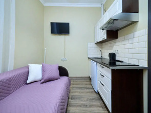 Апартаменты 4-я Советская 25 (5)