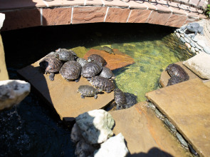 Гостевой дом Камелот