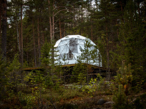 Глэмпинг Lago Ladoga
