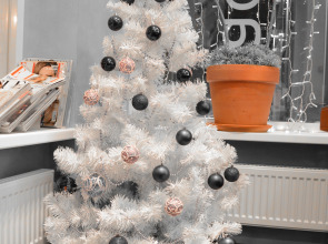 Мини-Отель Игуасу