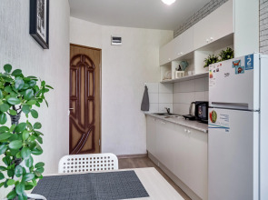 Апартаменты Однушка с мятным намеком