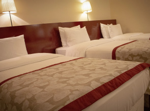 Отель Trakya City