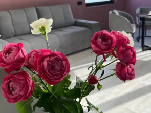 Отель  Берег Святой Софии