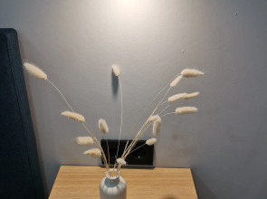 Квартира с парковкой в центре Санкт-Петербурга 2