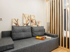 Улучшенные апартаменты Natali на метро Южная