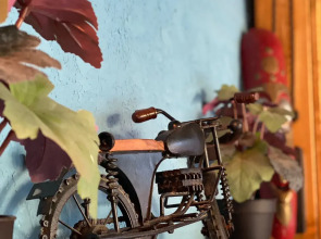 Отель Гостевой Дом Ирена